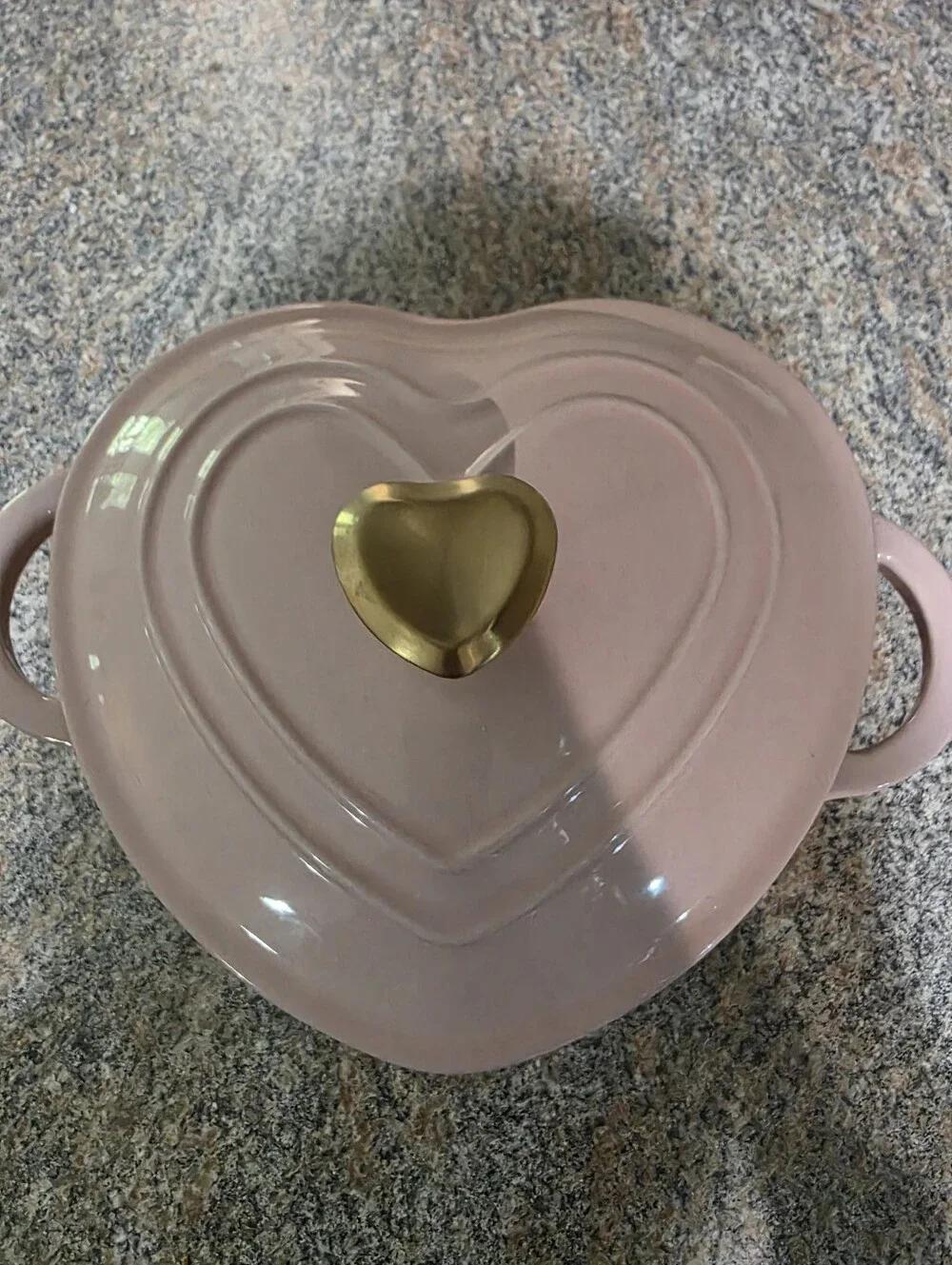 New Never Used Paris Hilton Dutch Oven
